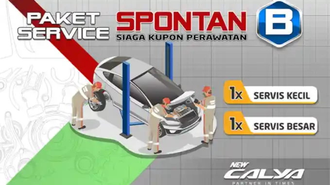 SPT_B_CALYA_MT.webp