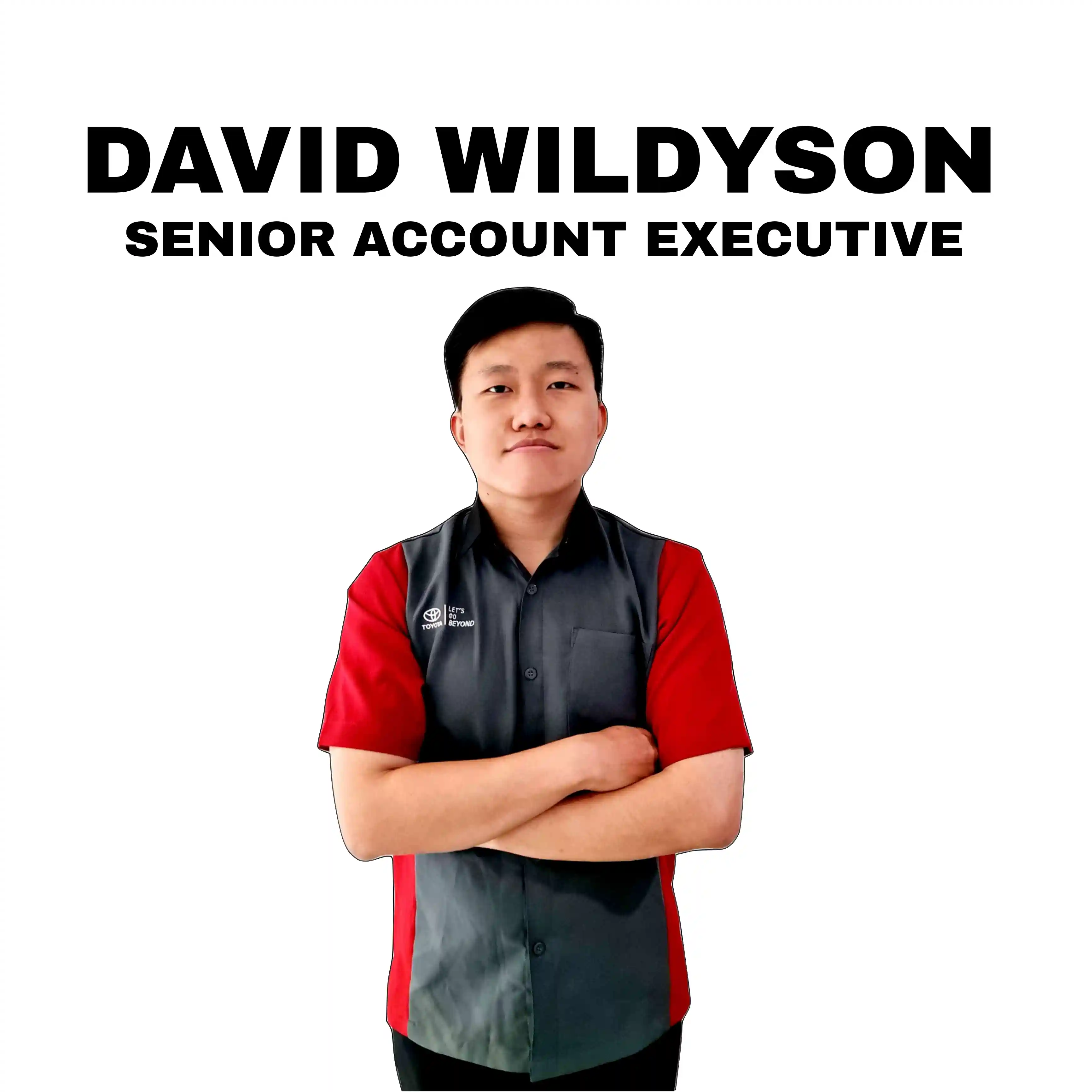 DAVID WILDYSON