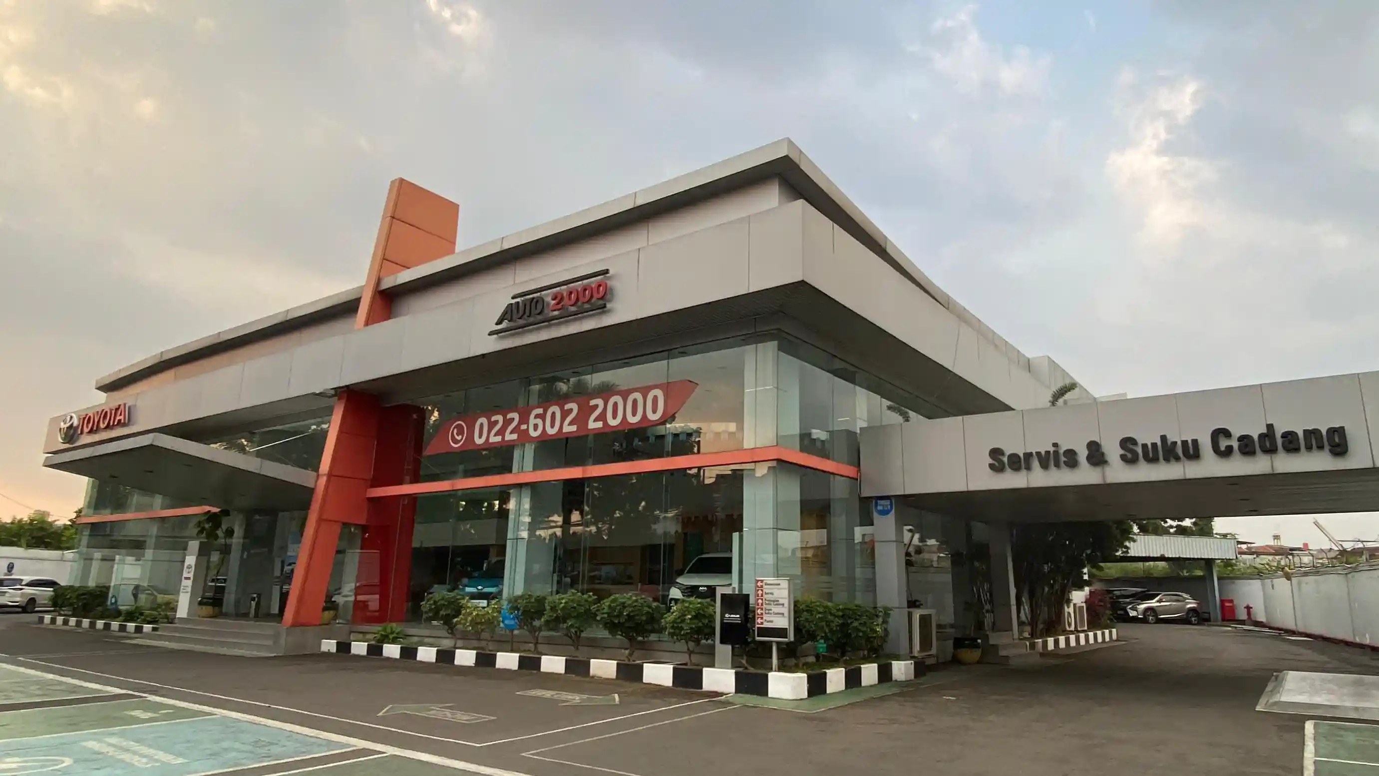cempaka putih