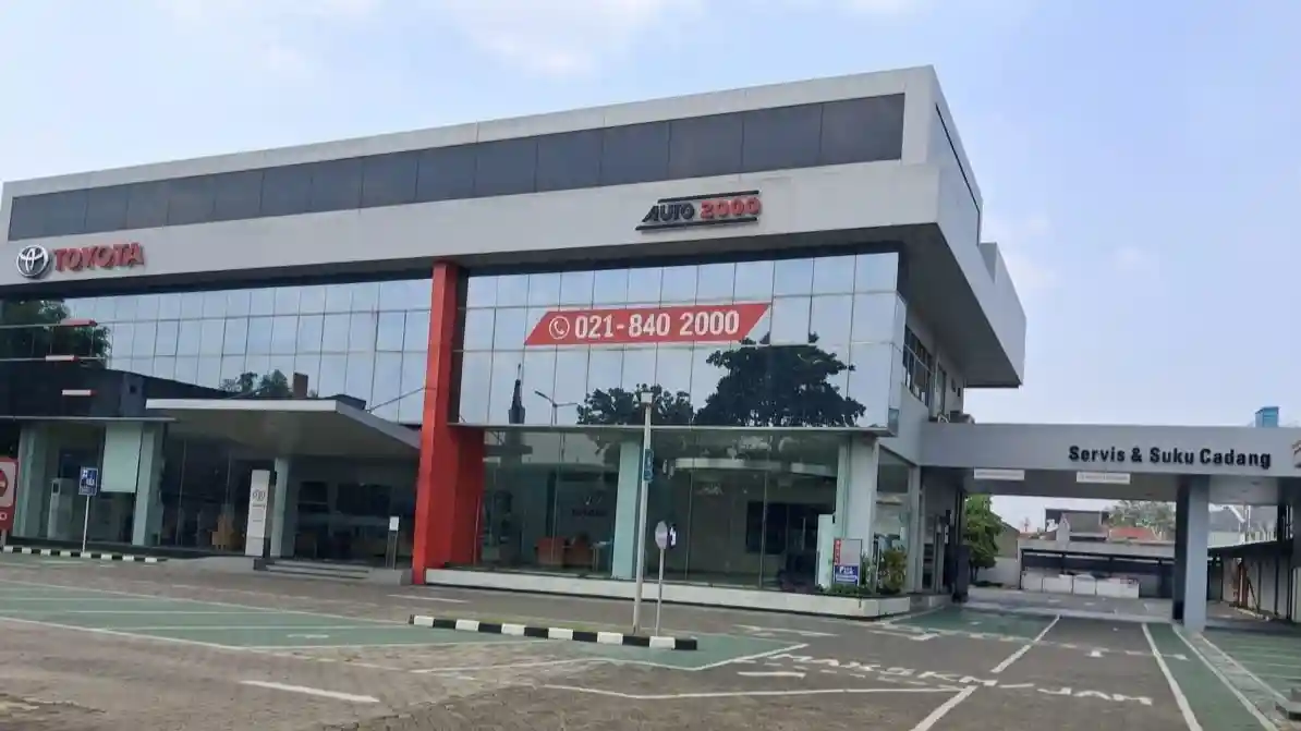 cempaka putih